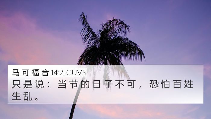 马 可 福 音 14:2 CUVS Bible Verse Image
