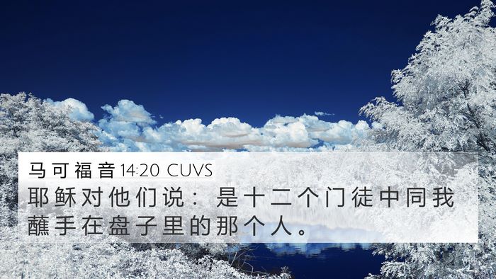 马 可 福 音 14:20 CUVS Bible Verse Image