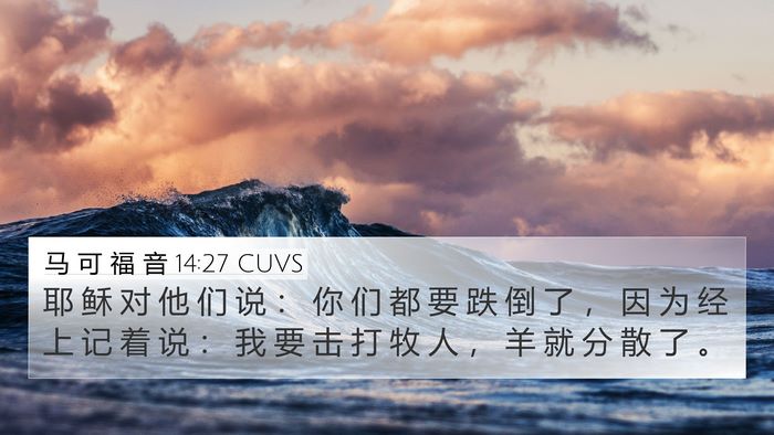 马 可 福 音 14:27 CUVS Bible Verse Image