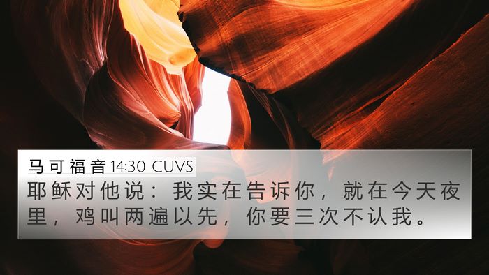 马 可 福 音 14:30 CUVS Bible Verse Image