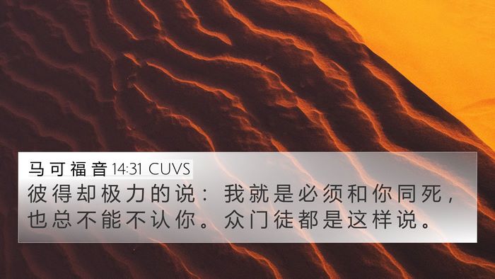 马 可 福 音 14:31 CUVS Bible Verse Image