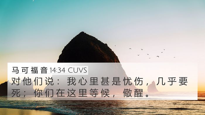 马 可 福 音 14:34 CUVS Bible Verse Image