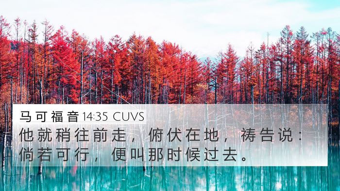 马 可 福 音 14:35 CUVS Bible Verse Image