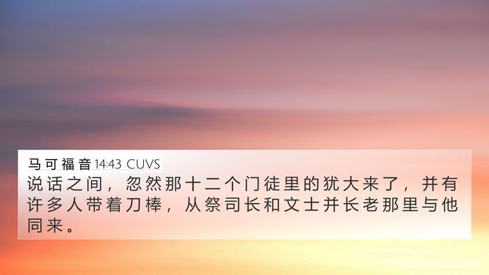 马 可 福 音 14:43 CUVS Bible Verse Image