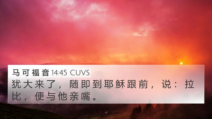 马 可 福 音 14:45 CUVS Bible Verse Image