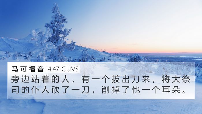 马 可 福 音 14:47 CUVS Bible Verse Image