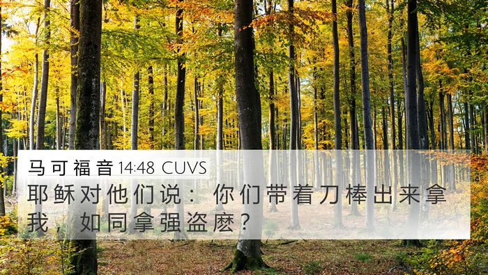 马 可 福 音 14:48 CUVS Bible Verse Image