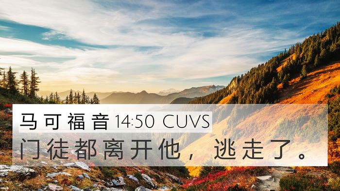 马 可 福 音 14:50 CUVS Bible Verse Image