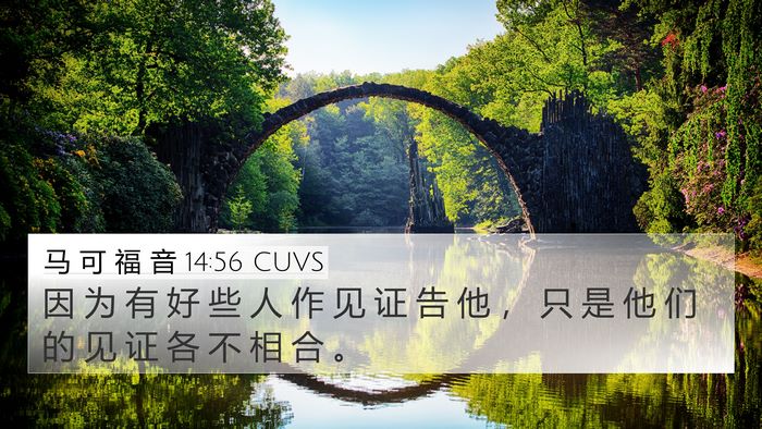 马 可 福 音 14:56 CUVS Bible Verse Image