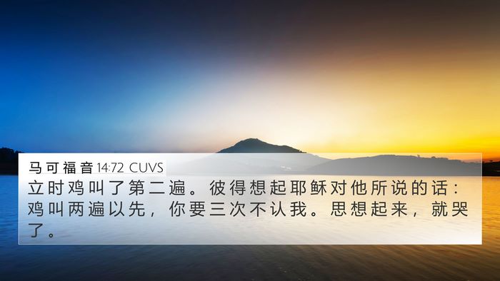 马 可 福 音 14:72 CUVS Bible Verse Image