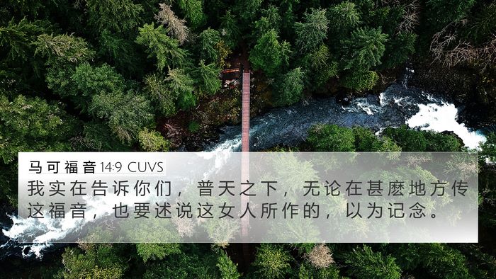 马 可 福 音 14:9 CUVS Bible Verse Image