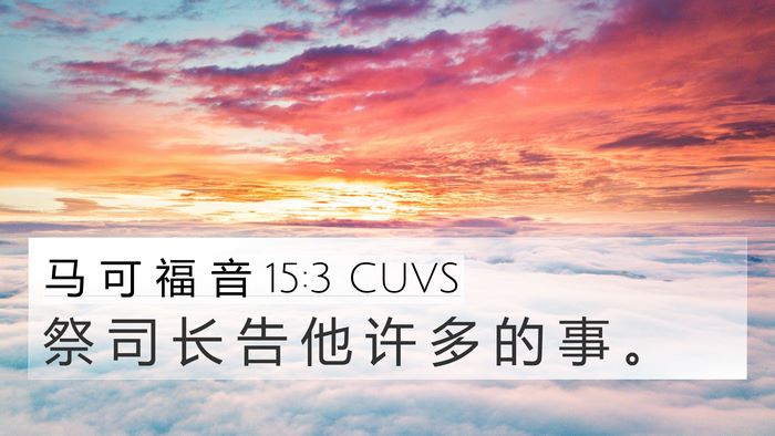 马 可 福 音 15:3 CUVS Bible Verse Image