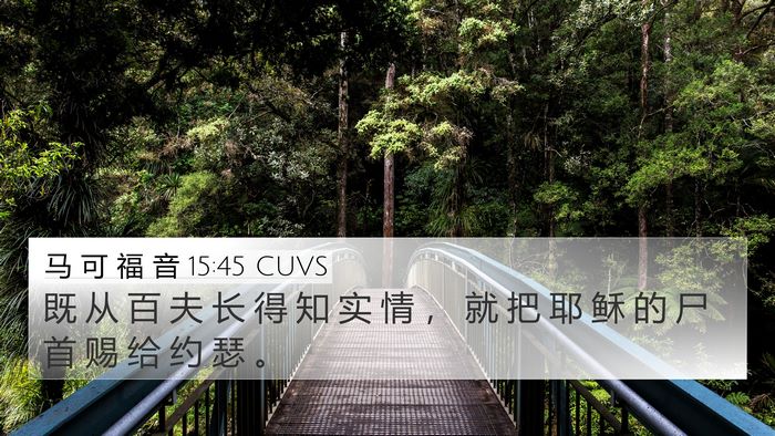 马 可 福 音 15:45 CUVS 4K Wallpaper - 既 从 百 夫 长 得 知 实 情 ， 就 把 - 4K Wallpaper Bible Verse