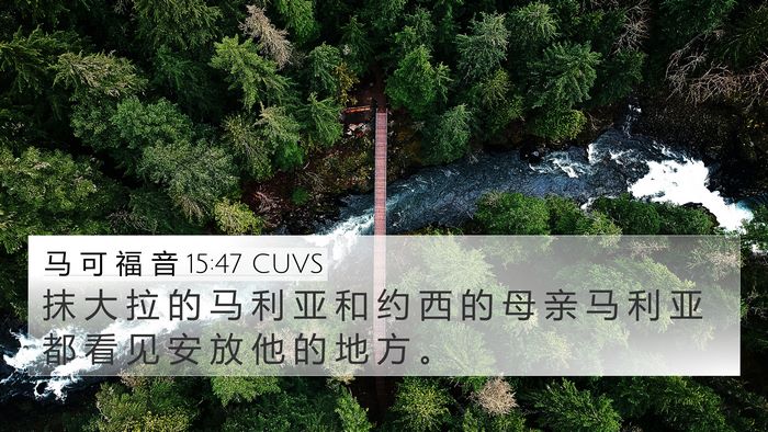 马 可 福 音 15:47 CUVS Bible Verse Image