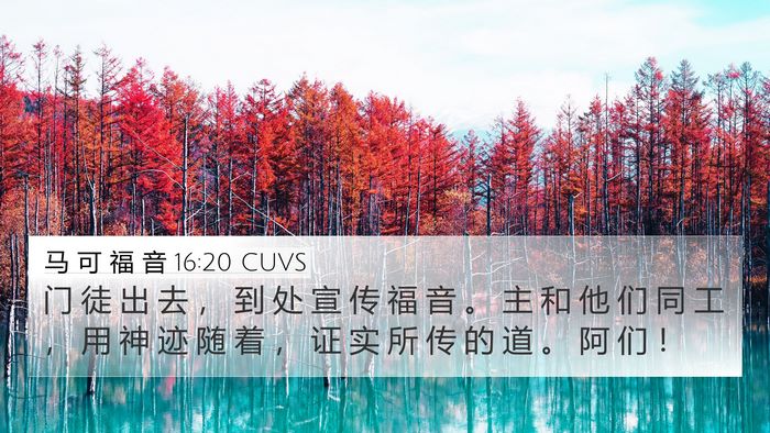 马 可 福 音 16:20 CUVS Bible Verse Image