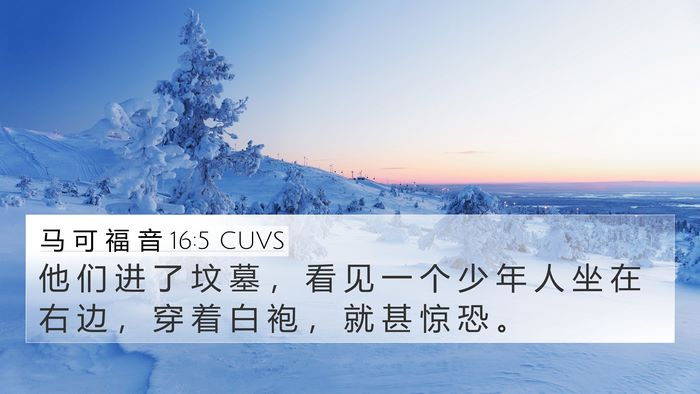 马 可 福 音 16:5 CUVS Bible Verse Image