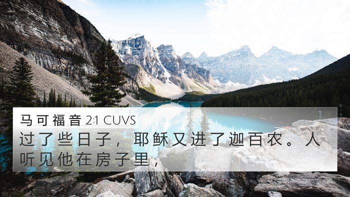 马 可 福 音 2:1 CUVS Bible Verse Image