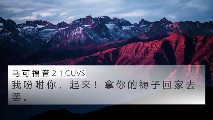 马 可 福 音 2:11 CUVS 4K Wallpaper - 我 吩 咐 你 ， 起 来 ！ 拿 你 的 褥 - 4K Wallpaper Bible Verse