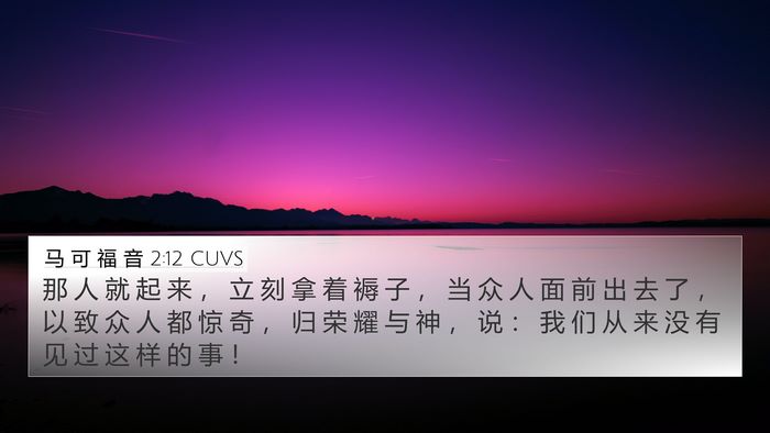 马 可 福 音 2:12 CUVS Bible Verse Image