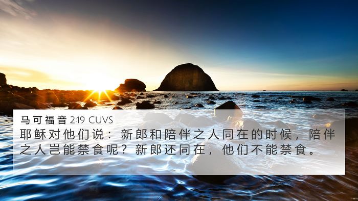 马 可 福 音 2:19 CUVS 4K Wallpaper - 耶 稣 对 他 们 说 ： 新 郎 和 陪 伴 - 4K Wallpaper Bible Verse