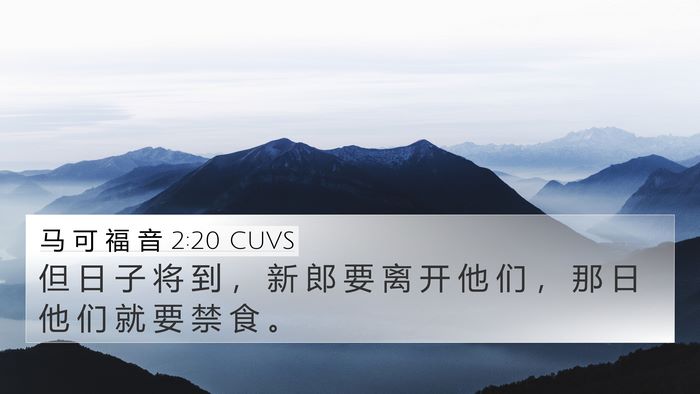 马 可 福 音 2:20 CUVS 4K Wallpaper - 但 日 子 将 到 ， 新 郎 要 离 开 他 - 4K Wallpaper Bible Verse