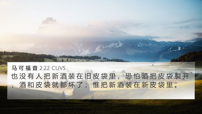 马 可 福 音 2:22 CUVS 4K Wallpaper - 也 没 有 人 把 新 酒 装 在 旧 皮 袋 - 4K Wallpaper Bible Verse