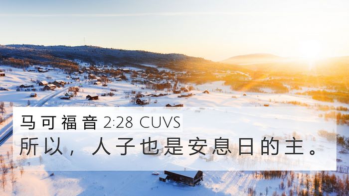 马 可 福 音 2:28 CUVS Bible Verse Image