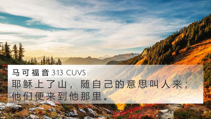 马 可 福 音 3:13 CUVS Bible Verse Image