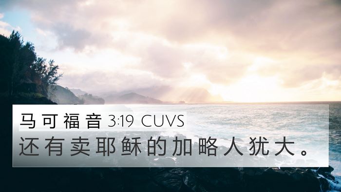 马 可 福 音 3:19 CUVS 4K Wallpaper - 还 有 卖 耶 稣 的 加 略 人 犹 大 - 4K Wallpaper Bible Verse