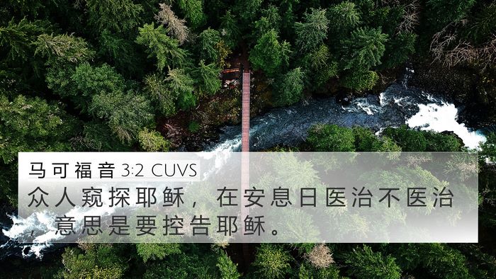 马 可 福 音 3:2 CUVS Bible Verse Image