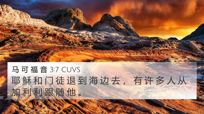 马 可 福 音 3:7 CUVS Bible Verse Image