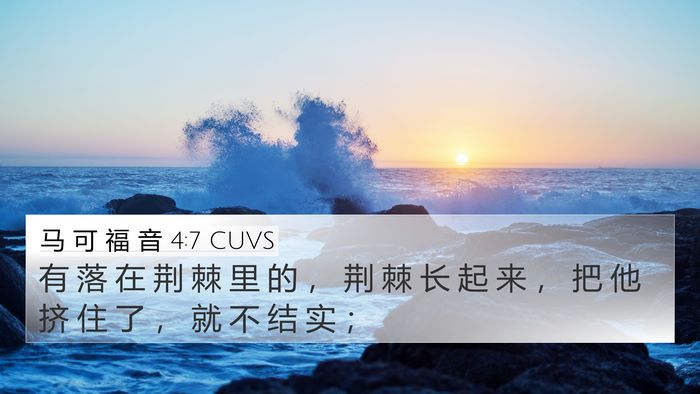 马 可 福 音 4:7 CUVS 4K Wallpaper - 有 落 在 荆 棘 里 的 ， 荆 棘 长 起 - 4K Wallpaper Bible Verse