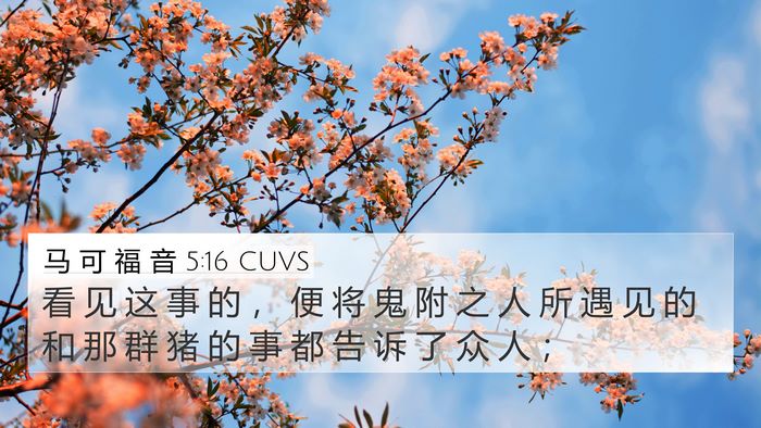 马 可 福 音 5:16 CUVS 4K Wallpaper - 看 见 这 事 的 ， 便 将 鬼 附 之 人 - 4K Wallpaper Bible Verse
