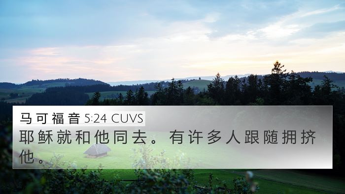 马 可 福 音 5:24 CUVS 4K Wallpaper - 耶 稣 就 和 他 同 去 。 有 许 多 人 - 4K Wallpaper Bible Verse