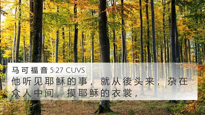 马 可 福 音 5:27 CUVS Bible Verse Image