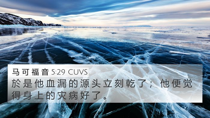 马 可 福 音 5:29 CUVS Bible Verse Image