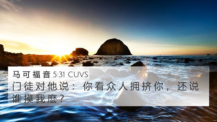 马 可 福 音 5:31 CUVS Bible Verse Image