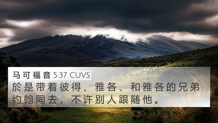 马 可 福 音 5:37 CUVS Bible Verse Image