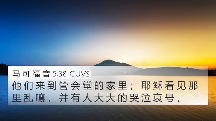 马 可 福 音 5:38 CUVS Bible Verse Image