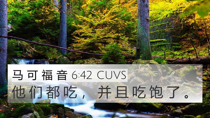 马 可 福 音 6:42 CUVS Bible Verse Image