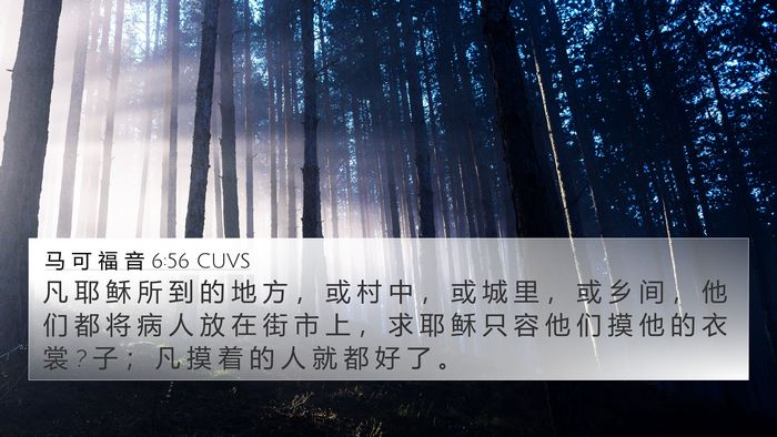 马 可 福 音 6:56 CUVS Bible Verse Image