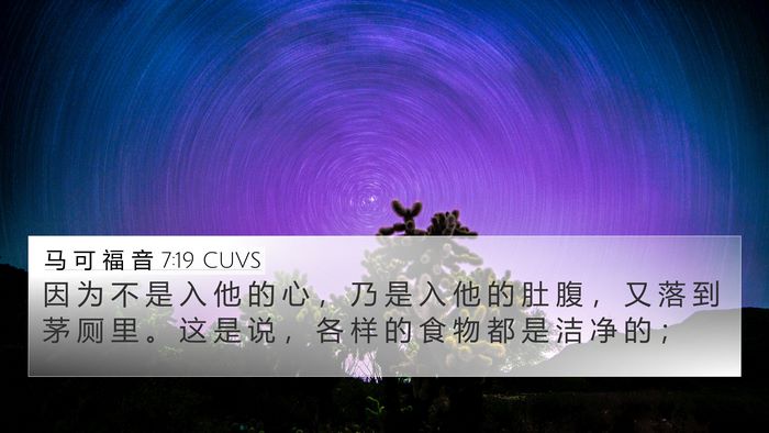 马 可 福 音 7:19 CUVS 4K Wallpaper - 因 为 不 是 入 他 的 心 ， 乃 是 入 - 4K Wallpaper Bible Verse