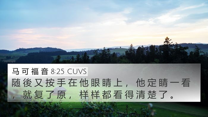 马 可 福 音 8:25 CUVS Bible Verse Image