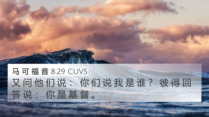 马 可 福 音 8:29 CUVS Bible Verse Image