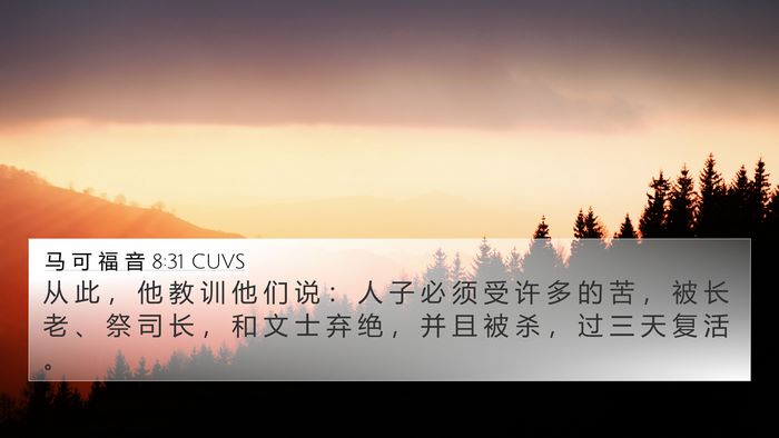 马 可 福 音 8:31 CUVS Bible Verse Image