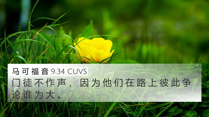 马 可 福 音 9:34 CUVS Bible Verse Image