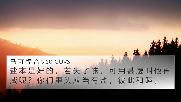 马 可 福 音 9:50 CUVS Bible Verse Image