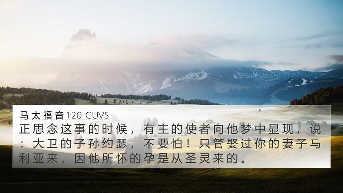 马 太 福 音 1:20 CUVS Bible Verse Image
