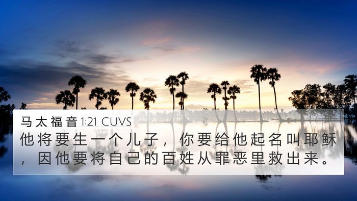 马 太 福 音 1:21 CUVS Bible Verse Image