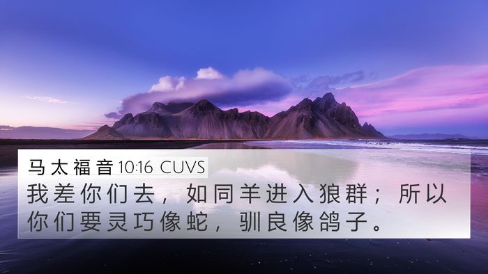 马 太 福 音 10:16 CUVS Bible Verse Image